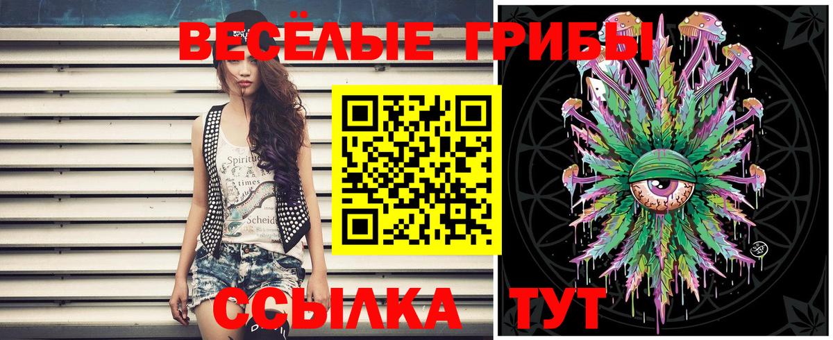 Галлюциногенные грибы Psilocybe  Вход с VPN  Галлюциногенные грибы GOLDEN TEACHER  где можно купить наркотик  Волгодонск 